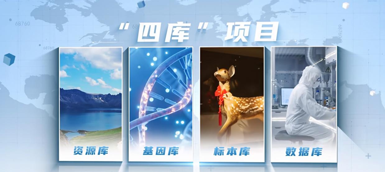 图示, 示意图中度可信度描述已自动生成:ver1