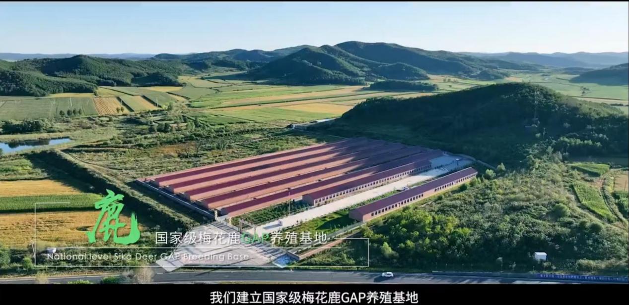 259dddf16352e8f43ae5a94fe05e3b6a